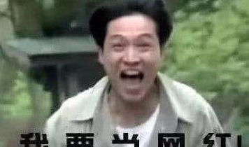 如何看待网红和吃瓜群众,网红现象与吃瓜群众视角下的社会观察 第2张 如何看待网红和吃瓜群众,网红现象与吃瓜群众视角下的社会观察 第2张