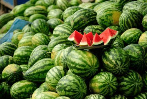 抖音康县网红吃瓜,抖音美食之旅  第2张